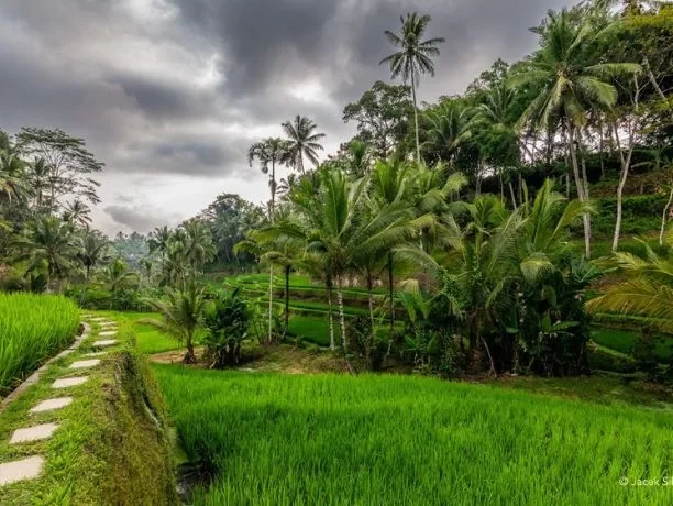 Bali 6D5N Tour – Complete Island Experience