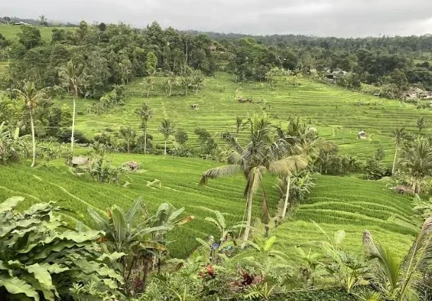 Bali 6D5N Tour – Complete Island Experience