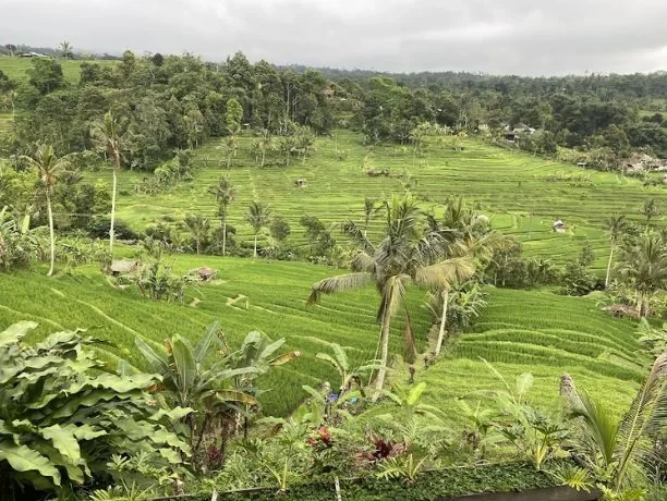 Bali 6D5N Tour – Complete Island Experience