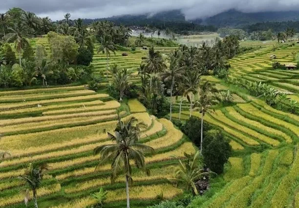 Bali 4D3N Tour – Culture, Nature & Adventure