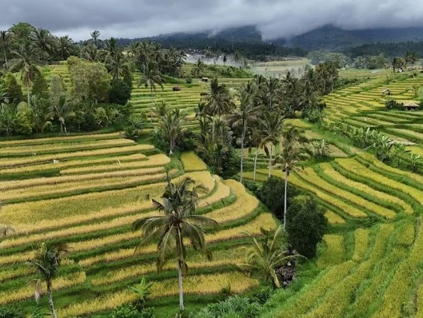 Bali 4D3N Tour – Culture, Nature & Adventure