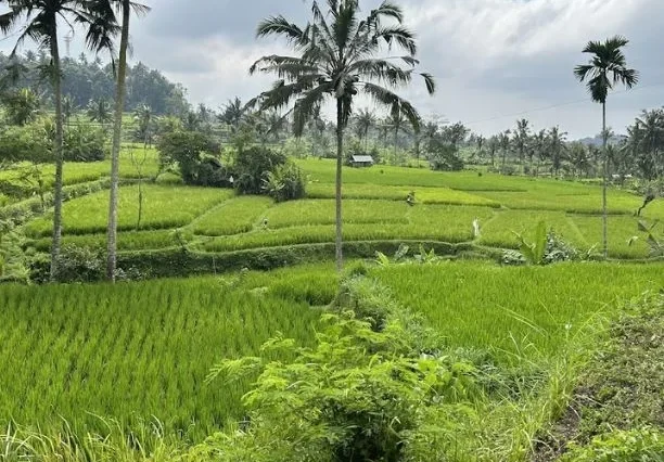 Gallery Sidemen Village Tour (2)