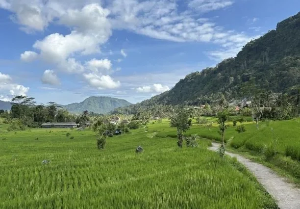 Sidemen Village Tour