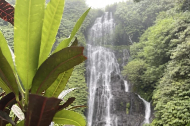 Bali Private Driver Price