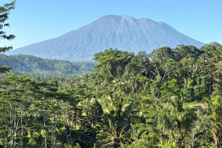 Bali Private Driver for Hidden Gems"