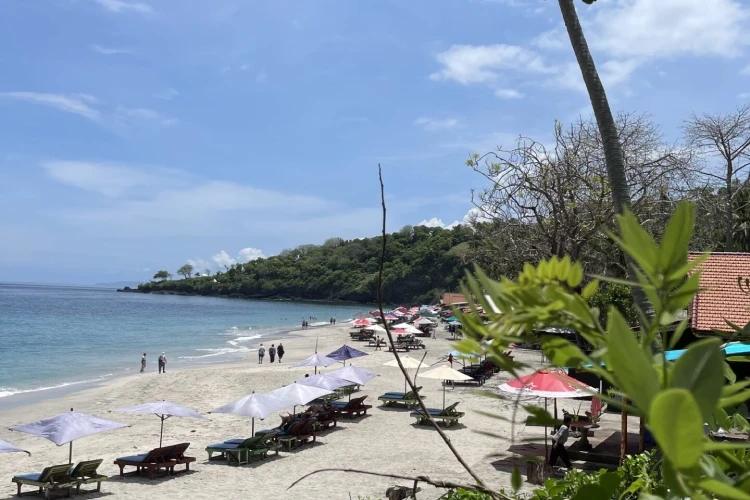 Bali Private Driver for One Day Tour