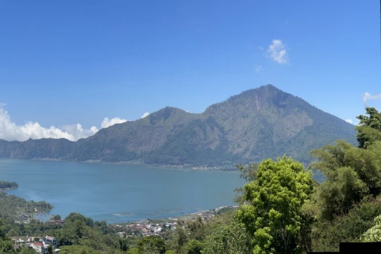 Bali Private Driver vs Scooter Rental