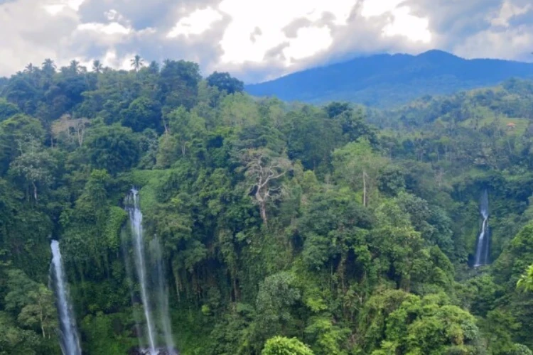 Hire Private Driver in Bali