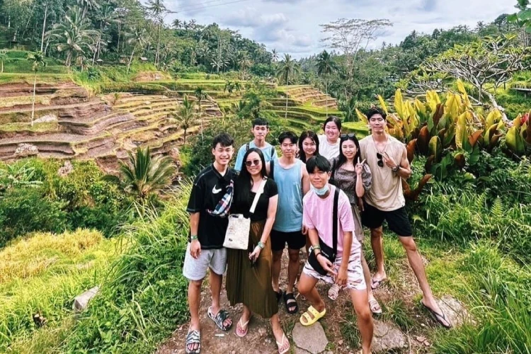 Bali Private Driver Information