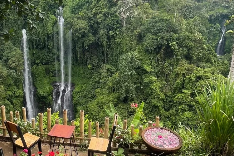 Bali Private Driver for Cruise Passengers