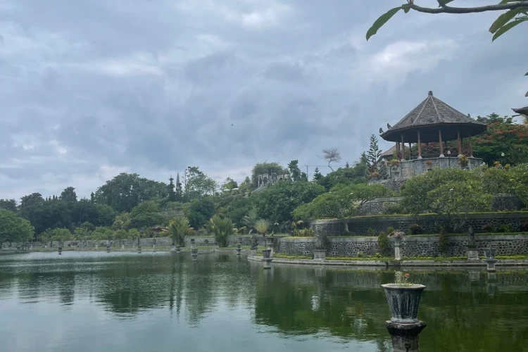 Bali Private Driver for Photography Tours