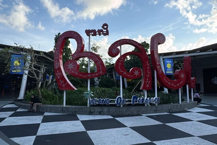 Eco-Friendly Bali Private Driver