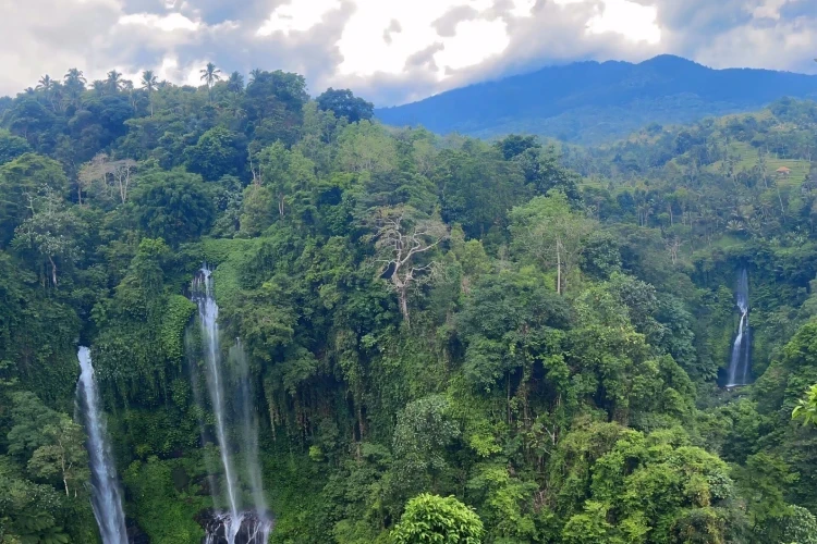 Sekumpul Waterfall Bali Private Driver