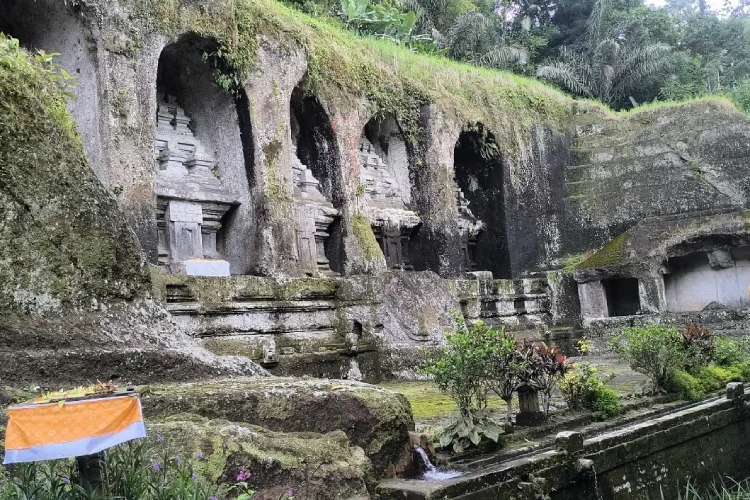 Daily Tour with Hotel Transfer from Ubud