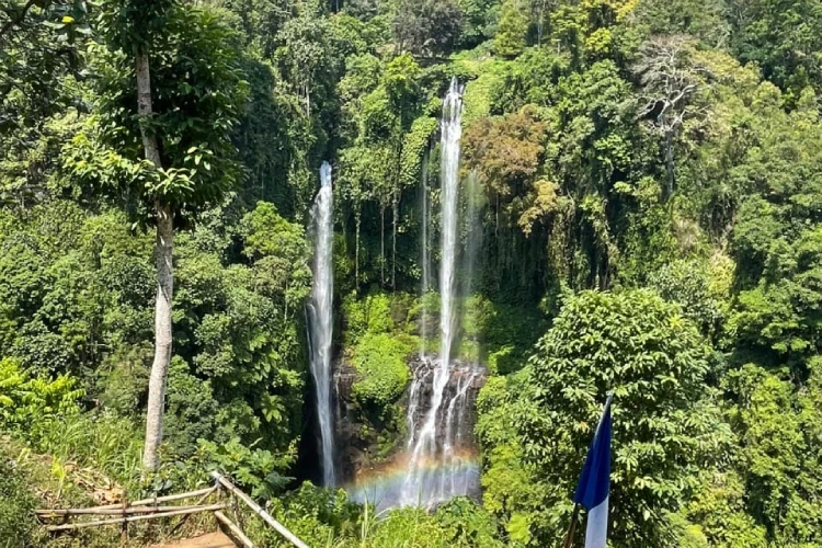 Transfer from Seminyak to Lovina