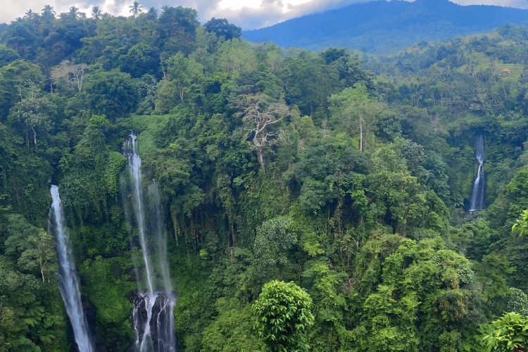 Ubud to Sekumpul Waterfall Tour