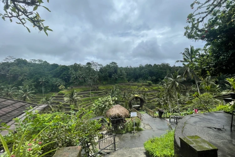 Full Day Ubud Cultural Tour