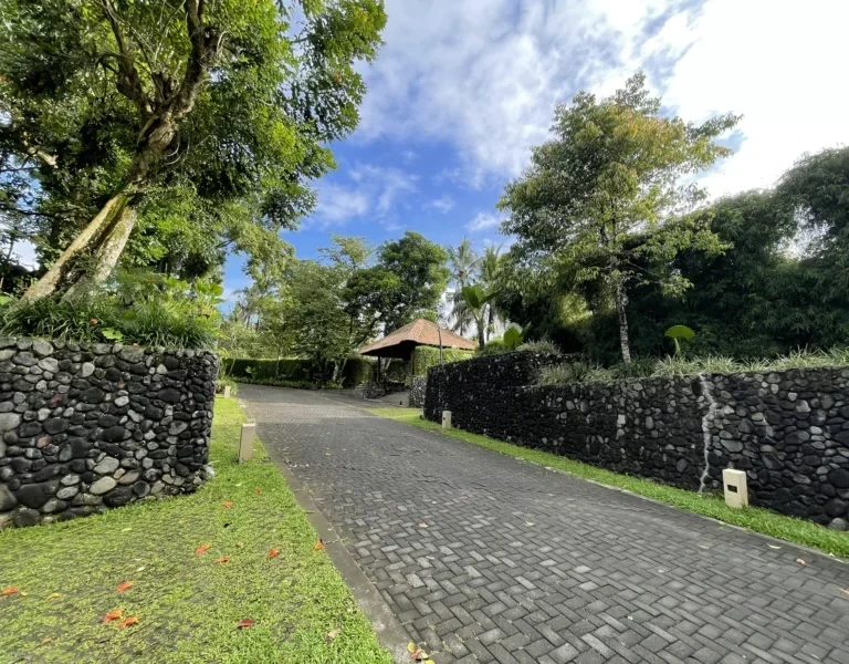 Transfer from Sidemen to Ubud with Stop