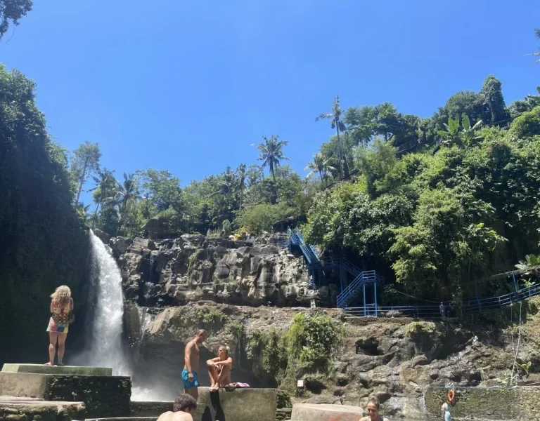 Bali Private Driver Canggu to Ubud