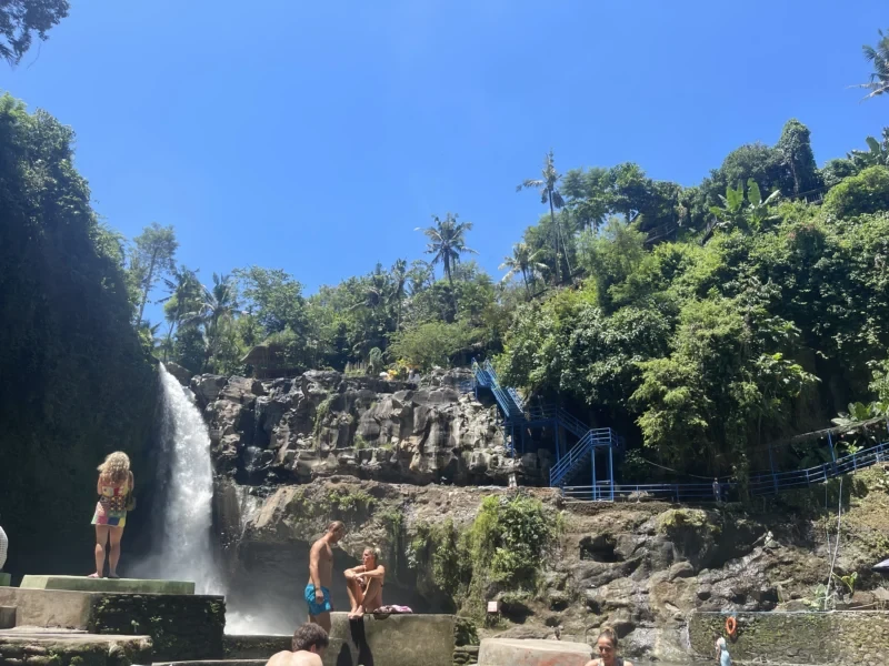 Bali Private Driver Canggu to Ubud