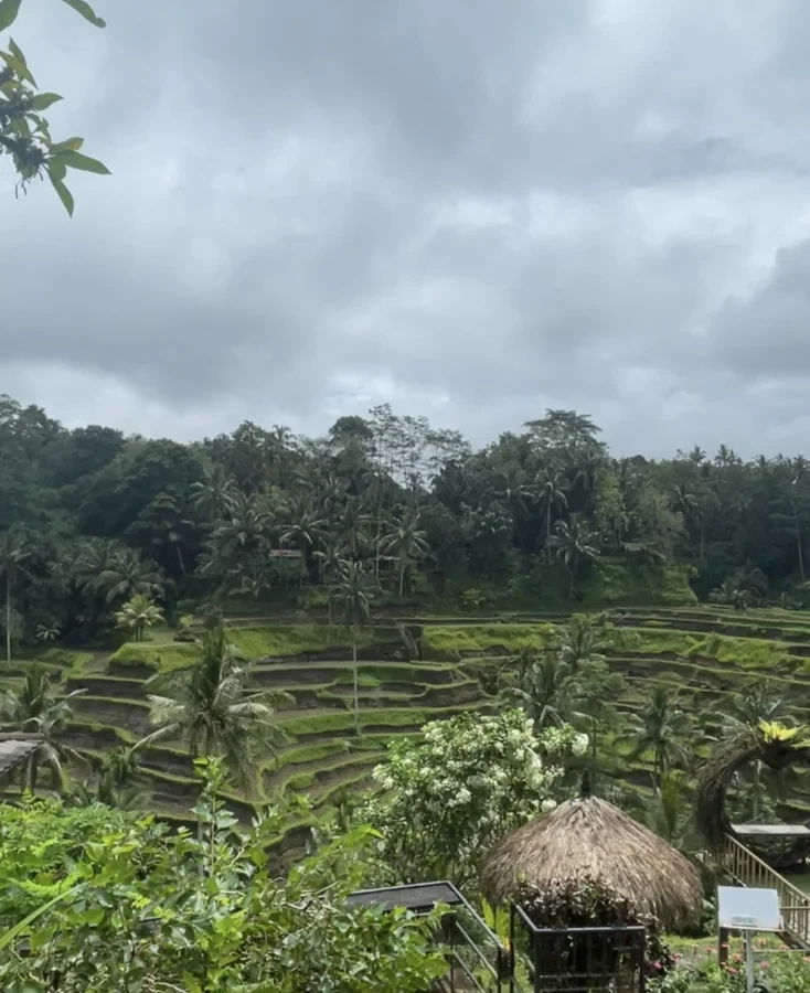 Tegalalang Rice Terrace