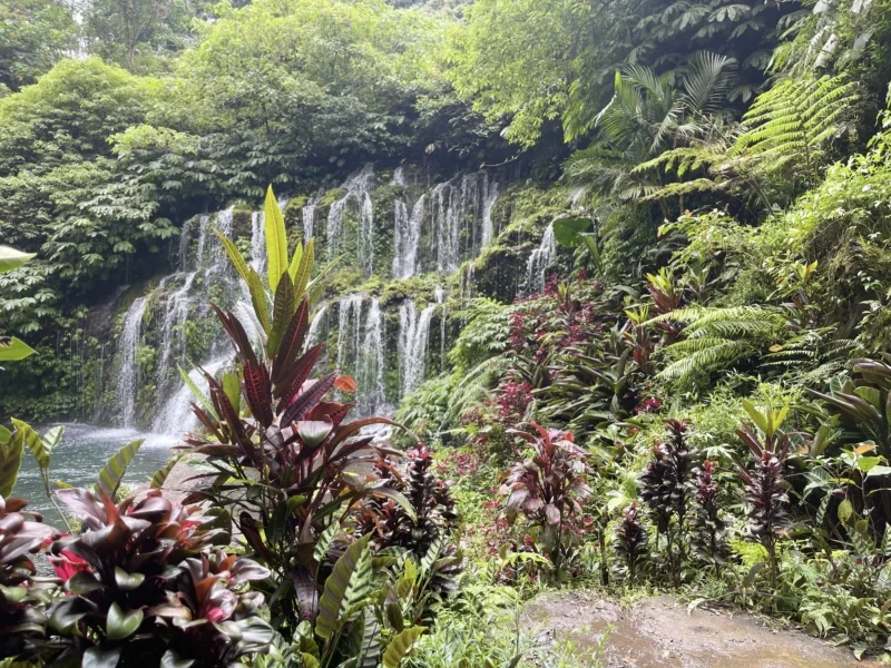 Half Day Munduk Tour