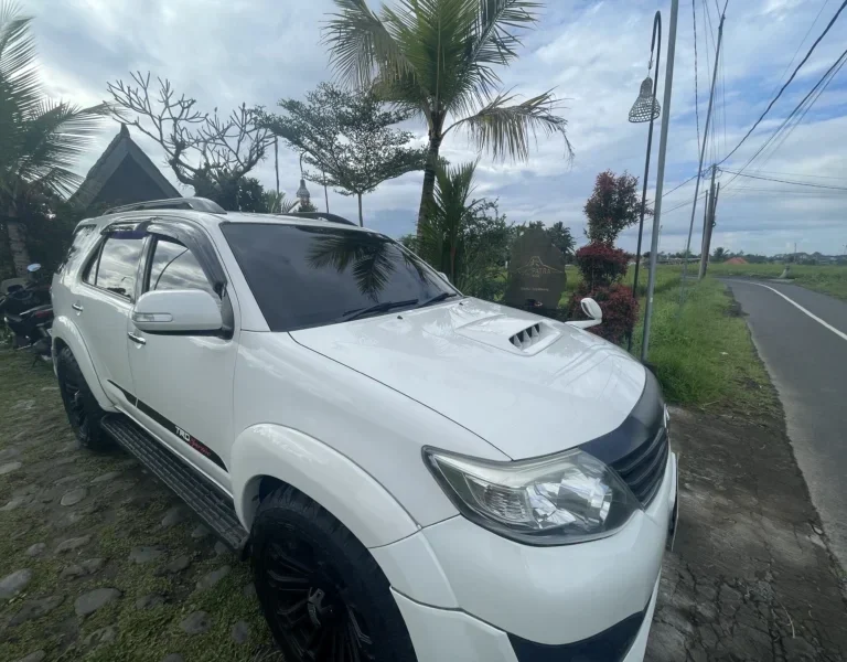 Sanur Harbor to Ubud Transfer Tour