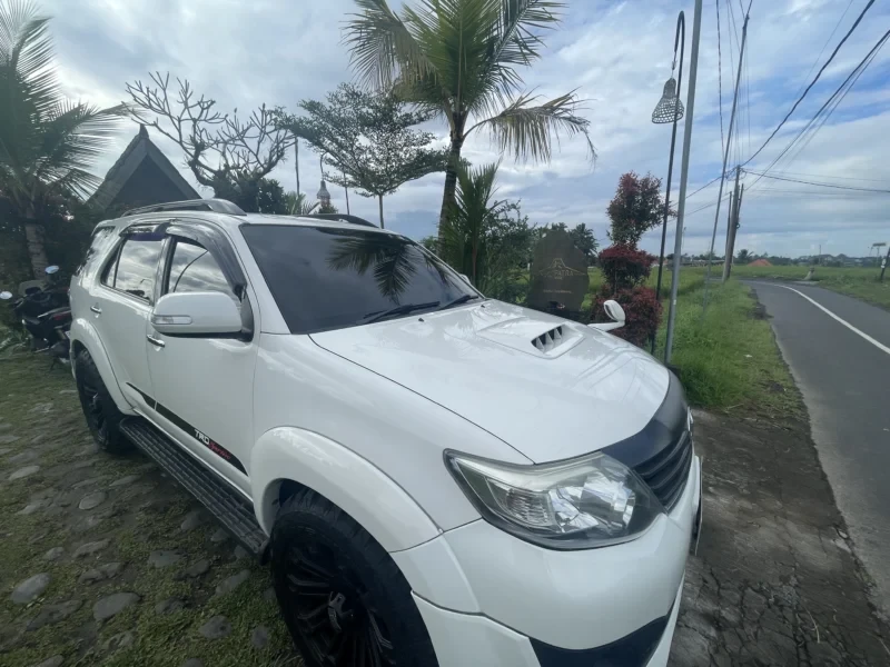 Sanur Harbor to Ubud Transfer Tour