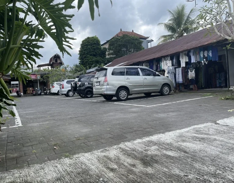 Solo Female Traveler Tour from Uluwatu to Ubud