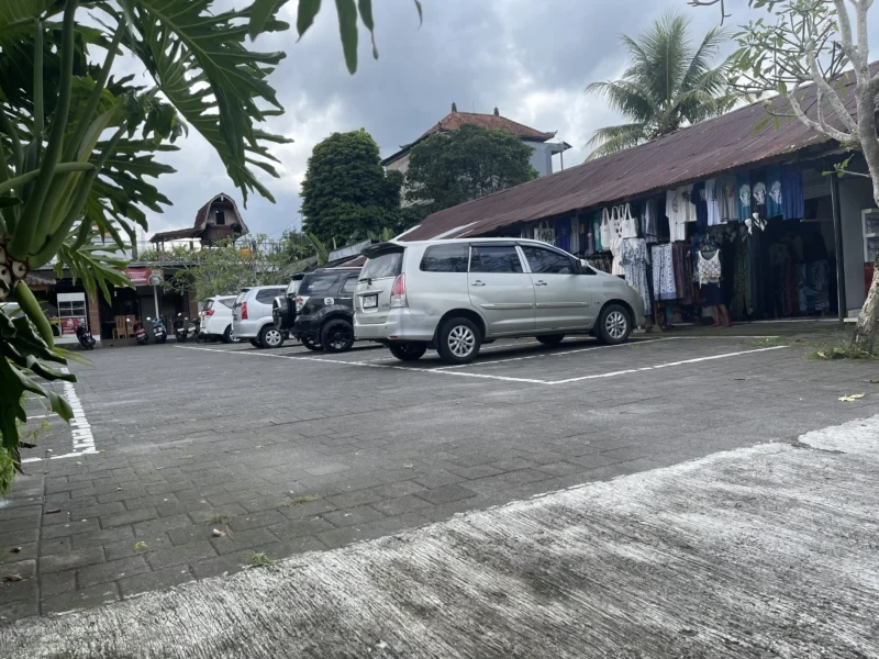 Solo Female Traveler Tour from Uluwatu to Ubud