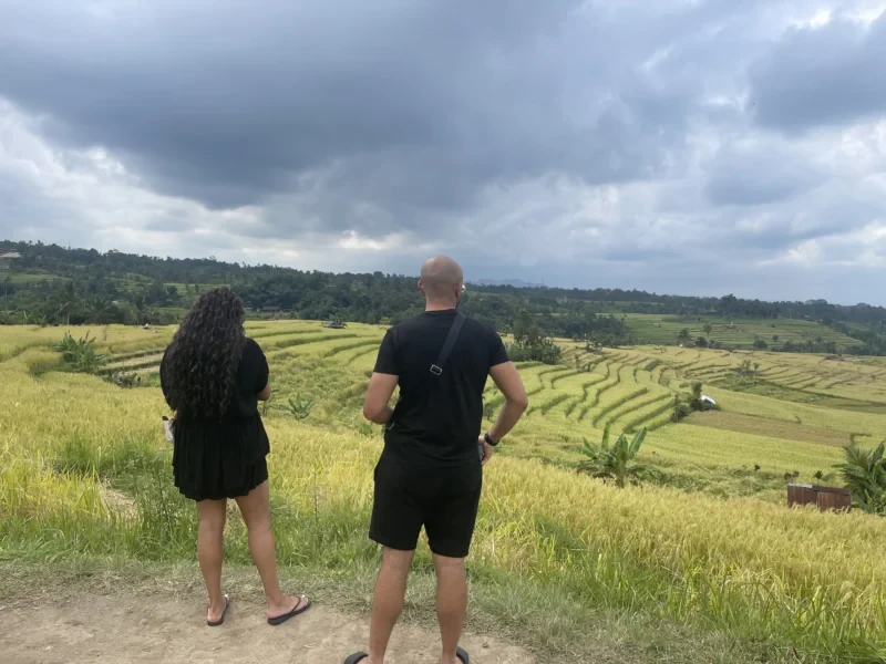 Munduk to Ubud Transfer with Jatiluwih Rice Terrace Stop