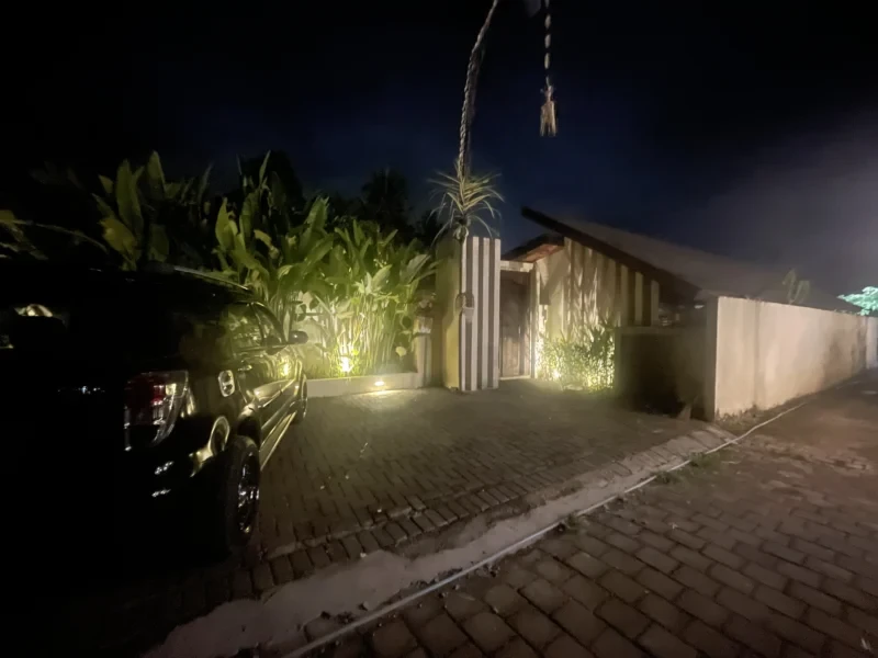 Ubud Dinner Transfer Service French Couple