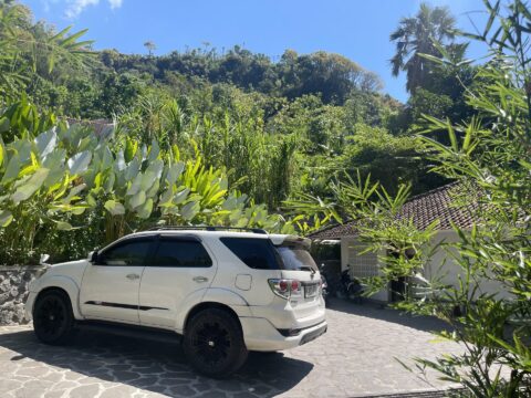 Private East Bali Tour at Lempuyang Temple with French Guests