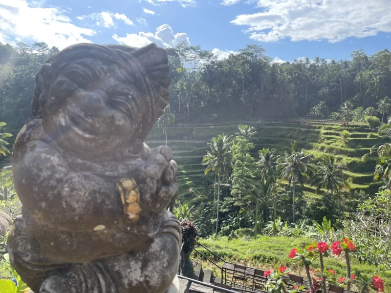Private Bali Transfer Tegalalang Tirta Empul Gunung Kawi Tour
