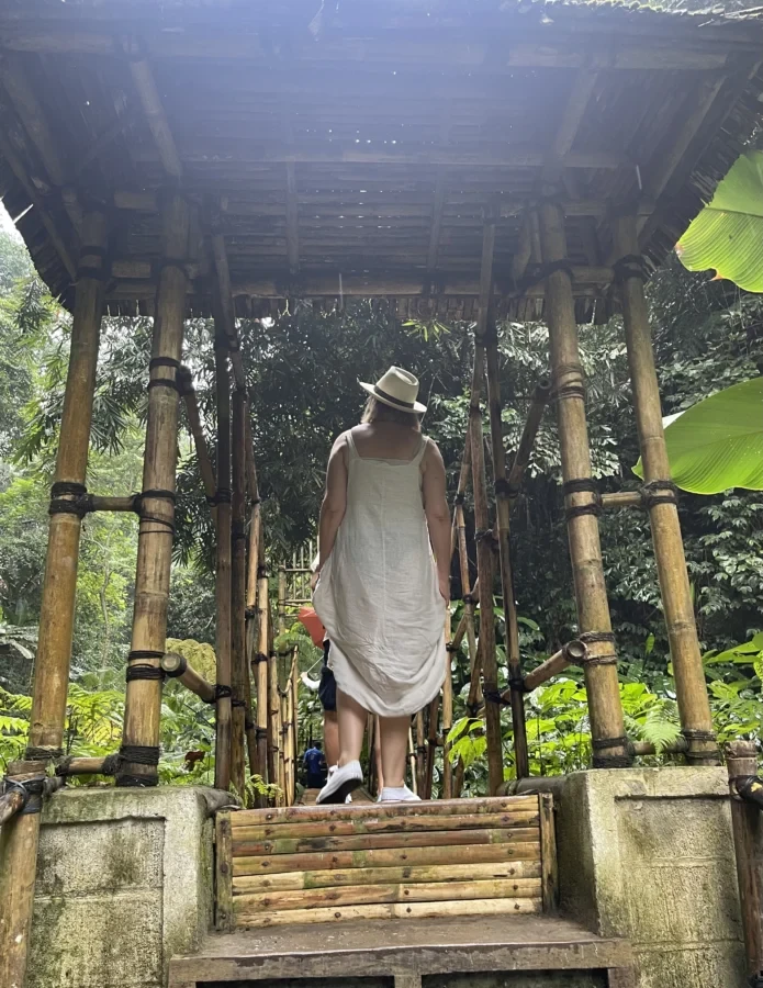Sangeh Monkey Forest