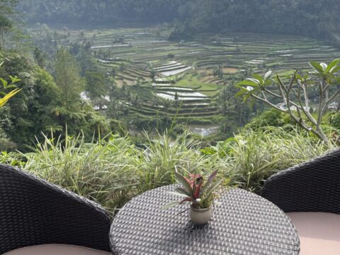 Private Besakih Temple Tour from Sidemen