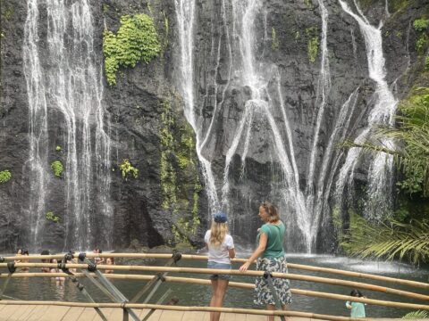 Ubud to Munduk Transfer with Sightseeing Stops