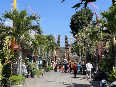 Bali Private Driver Etiquette & Guides Tips